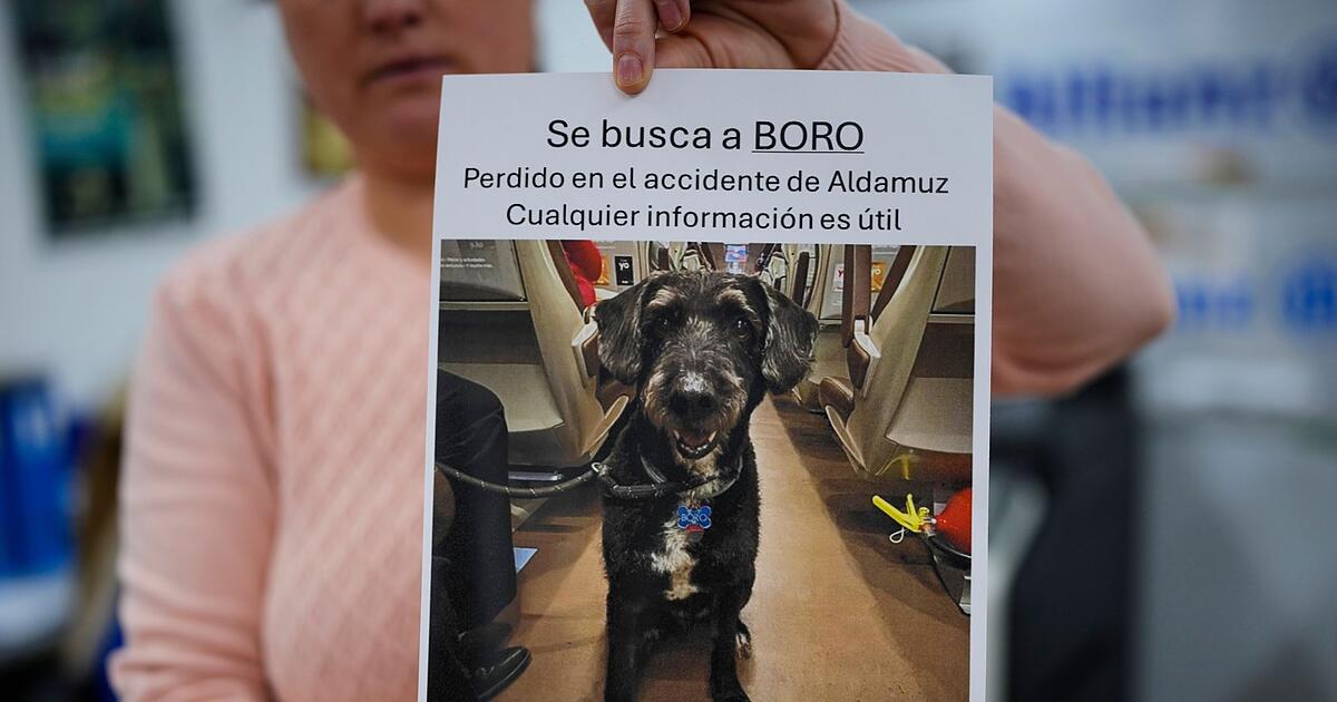 Lichtblick-nach-Zugungl-ck-Vermisster-Boro-wiedergefunden