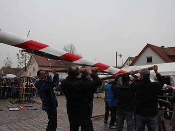 Mit Muskelkraft wurde der Zunftbaum aufgerichtet. Foto: Heike Beudert