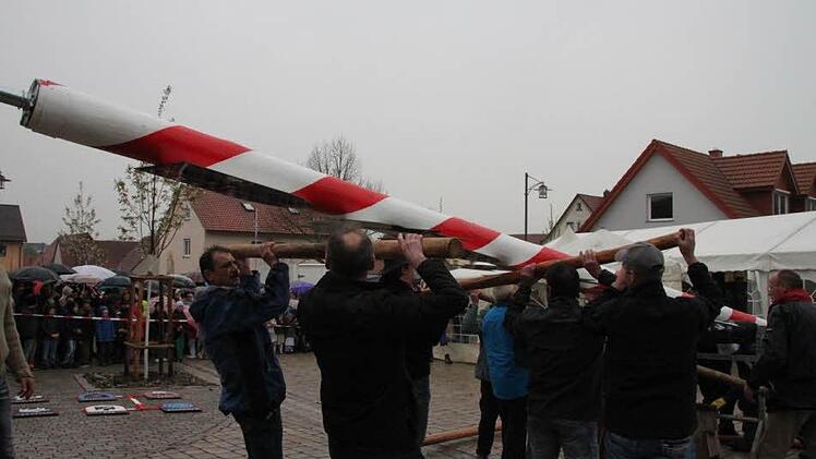 Mit Muskelkraft wurde der Zunftbaum aufgerichtet. Foto: Heike Beudert