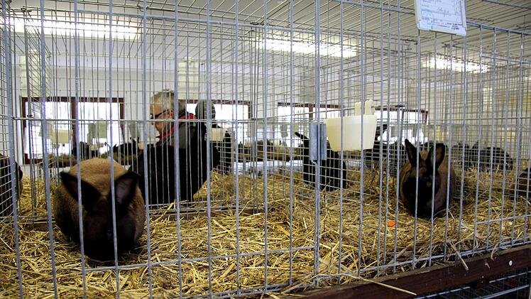 Ein Kaninchen war schöner als das andere.  Richard Sänger