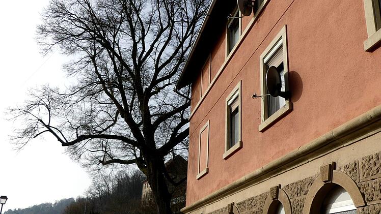 Diese schöne Linde soll nach Vorgabe des Staatlichen Bauamts Bayreuth  gefällt werden, da ihr Wurzelwerk die Mauer zur Straße hin drückt.