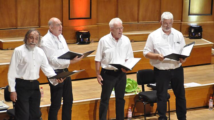 Die Maßbacher Sinnphoniker interpretierten a cappella vierstimmig ihre Lieder. Foto: Peter Klopf