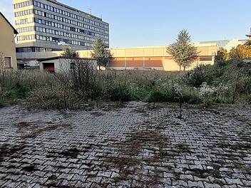 Bamberg bekommt neues Stadtviertel "Kaimsgarten": 48 Wohnungen in "moderner Gärtnerstadt"