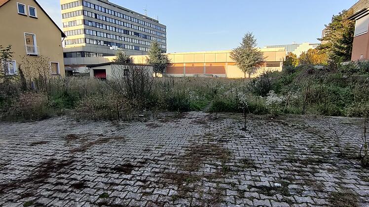 Bamberg bekommt neues Stadtviertel "Kaimsgarten": 48 Wohnungen in "moderner Gärtnerstadt"