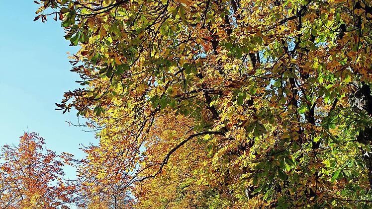 Herbst in Pommersfelden. Foto: Tobias Stich