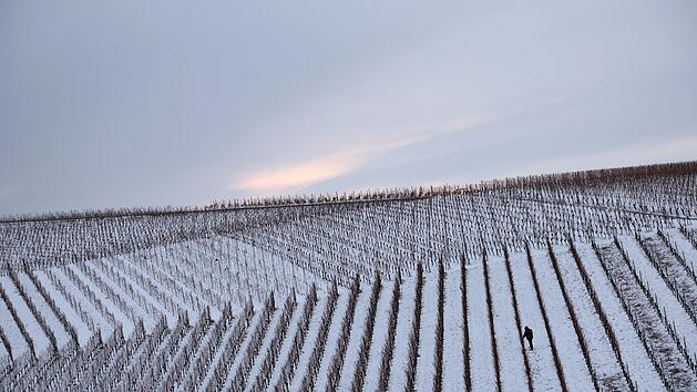 Frost und Schnee statt Frühlingswetter? Kaltfront "beißt sich regelrecht fest" in Franken