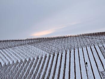 Frost und Schnee statt Frühlingswetter? Kaltfront "beißt sich regelrecht fest" in Franken