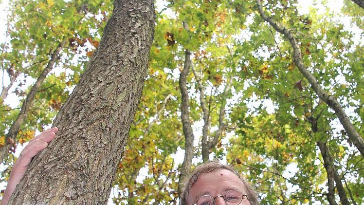 Weißer (oder gelber) Ring für eine große Zukunft: Förster Achim Volkamer lehnt an einer rund 30 Jahre alten Eiche, deren Markierung sie als Z-Baum - also Zukunftsbaum - ausweist.  Foto: Diana Fuchs