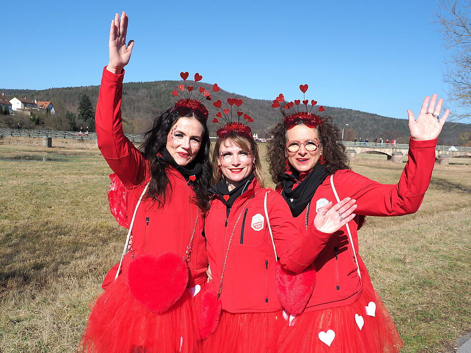 Buntes Faschingstreiben in Unterfranken!