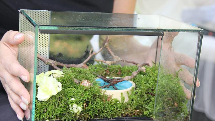 Hier sitzt Fred in seinem luxuriösen und gemütlichen WG-Zimmer. Foto: Andreas Schmitt