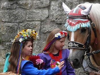 Viele, kleine Kostenstellen summieren sich beim Heimatspiel in jedem Jahr. Der Verein braucht Geld für den Kauf und die Ausbesserung von Kostümen; die Pferdehalter bekommen für das Ausleihen der Tiere eine Aufwandsentschädigung.  Foto: Heike Beudert/Archiv