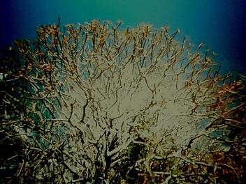 Nürnberg: Fotografieausstellung „Günter Derleth – …. immer viel Licht!“