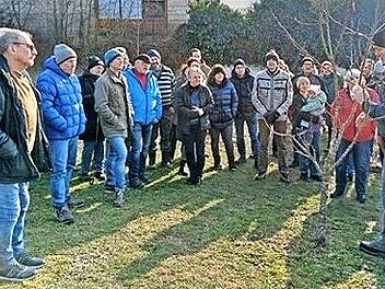 Michael Stromer demonstriert den richtigen Schnitt.