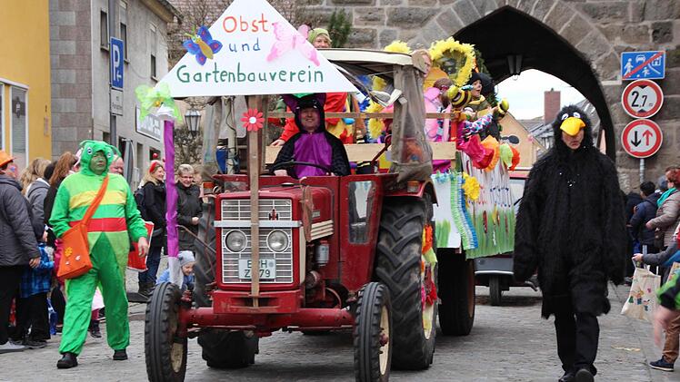 Der Faschingsumzug in Höchstadt war auch 2017 wieder sehr gut besucht. Foto: Franziska Rieger