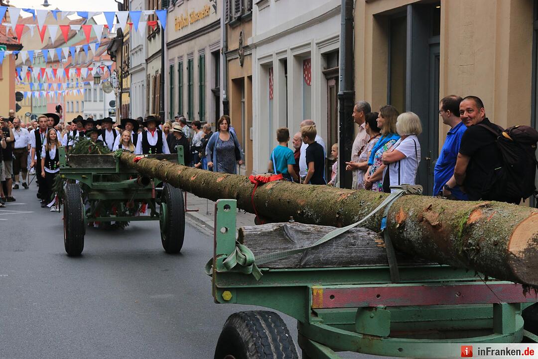 Sandkerwa 2015 - Kerwasbaum-Aufstellen