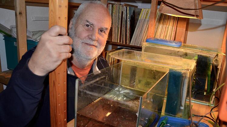 Hans-Georg Mommsen war viele Jahre beruflich als Kardiologe in Bad Kissingen tätig. Seinen Ruhestand widmet er unter anderem dem Naturschutz. Aktuell beherbergt er in seinem Keller in einem kleinen Aquarium Feuersalamander-Larven. Foto: Kathrin Kupka-Hahn