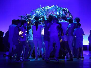 Ein Ensemble aus theaterbegeisterten Coburgern im Zauber der Bilder.  Foto: Henning Rosenbusch