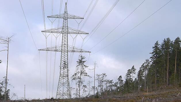 Sch&ouml;n ist anders: Die 380-kV-Leitung (hier: zwischen Sonnefeld und Ebersdorf) hat eine breite Schneise durch die Landkreise Coburg und Lichtenfels geschlagen.  Foto: Berthold K&ouml;hler