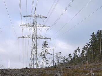 Schön ist anders: Die 380-kV-Leitung (hier: zwischen Sonnefeld und Ebersdorf) hat eine breite Schneise durch die Landkreise Coburg und Lichtenfels geschlagen.  Foto: Berthold Köhler