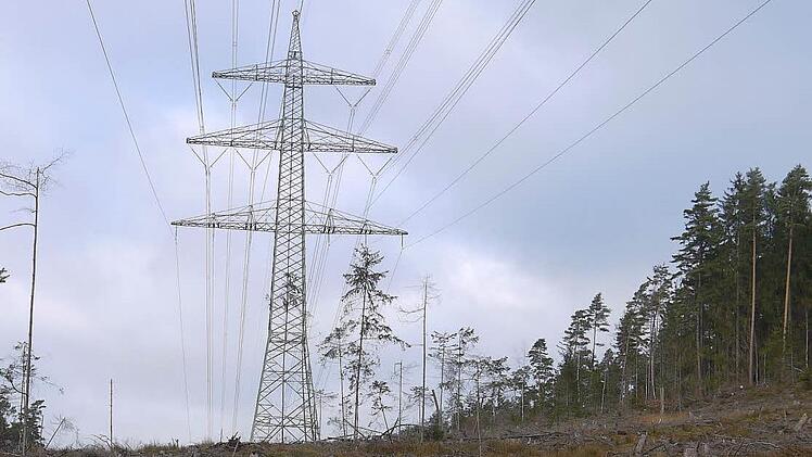 Schön ist anders: Die 380-kV-Leitung (hier: zwischen Sonnefeld und Ebersdorf) hat eine breite Schneise durch die Landkreise Coburg und Lichtenfels geschlagen.  Foto: Berthold Köhler