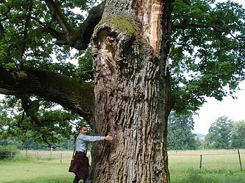 Alexander Ulmer zeigt eine mächtige Eiche bei Hohenstein.