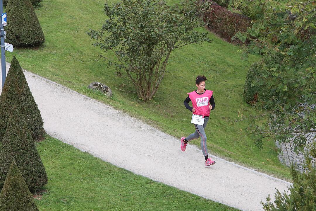 Pinklauf 2015