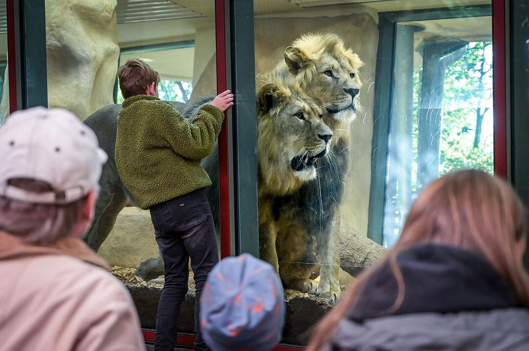 Zoo Halle gew&auml;hrt Besuchern einen Blick hinter die Kulissen