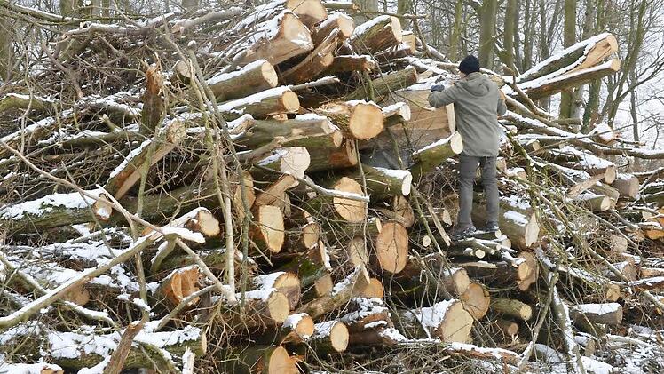 Sieht so das Ergebnis einer Heckenpflege aus oder soll hier ein Jahrhunderte alter Hohlweg in Euros umgewandelt werden? Fragen, die man sich in Burgwindheim stellt.   Fotos: R. Rinklef