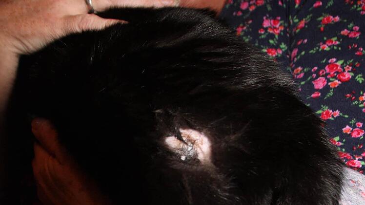 Die jüngst zugefügte Schusswunde Foto: Peter Groscurth