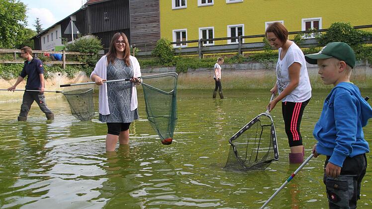 Das Wasser wurde für den Kampf auf der Hül abgelassen, der Dorfweiher danach abgefischt, gereinigt und mit frischem Wasser befüllt. Foto: Alexander Hartmann