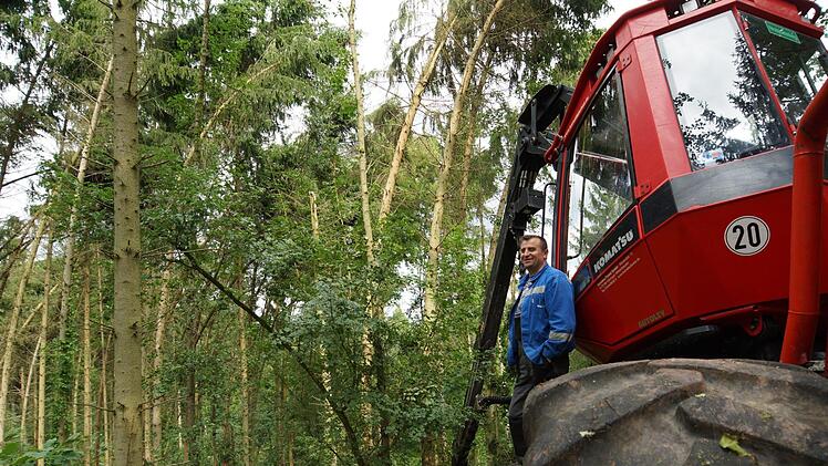 Der Harvester übernimmt die Fällarbeit.Foto: Arkadius Guzy