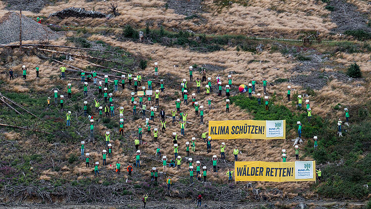 Ludwigsstadt im Frankenwald: Klimasch&uuml;tzer-Aktion gegen Waldsterben und Klimakrise