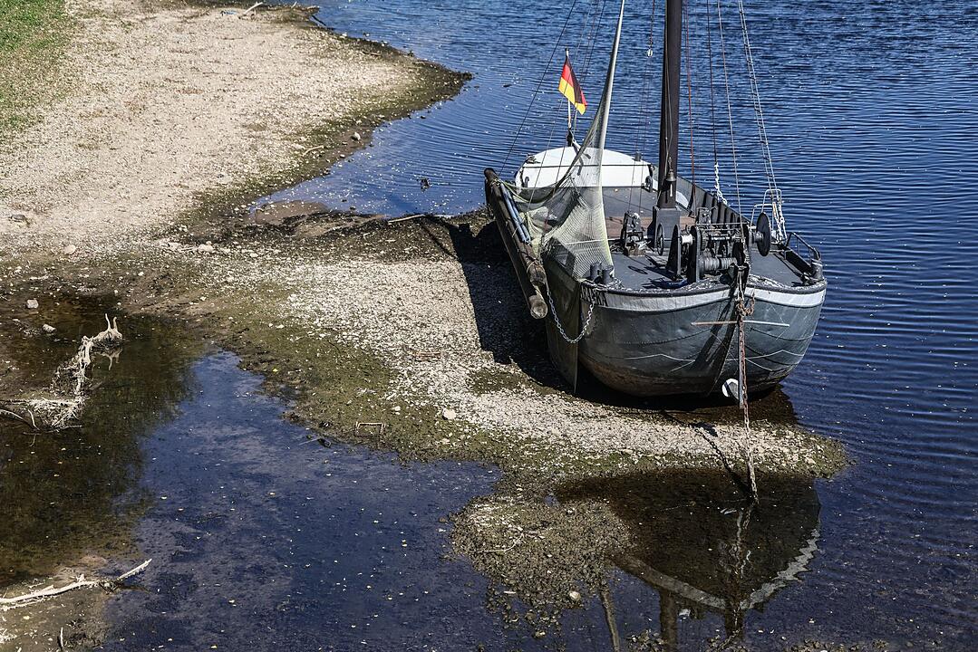 Niedrigwasser am Rhein