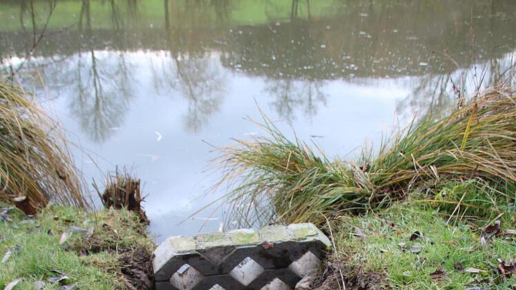 Bilder von der Teichanlage des ASV Hammelburg oberhalb von Obereschenbach. Foto: Ralf Ruppert