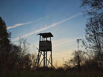 Niedersachsen: J&auml;ger (77) schie&szlig;t auf Spazierg&auml;ngerin -58-J&auml;hrige schwer verletzt
