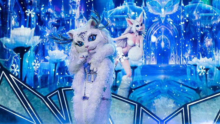 Yeti Cat begeisterte mit vielen Reizen und einer fantastischen Stimme. Wer im Kost&uuml;m steckt, scheint ein gro&szlig;es Geheimnis - das fr&uuml;hestens im Halbfinale gel&uuml;ftet wird.