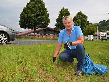 Brigitte Krieglstein durchkämmt in Zahlbach Straßenböschungen und Grünflächen in der Nähe ihrer Weiden, um das giftige Jakobs-Kreuzkraut per Hand zu bekämpfen. Hier ist sie im Gewerbegebiet Zahlbach fündig geworden, in der Kurve oberhalb der Disco. Foto: Kathrin Kupka-Hahn