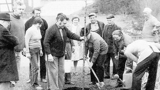 Am 3. April 1982 wurde die Helmut-G-Walther-Linde gepflanzt. Links Alfred Schramm, neben ihm Hermann Angermüller Foto: Andreas Welz/Archiv