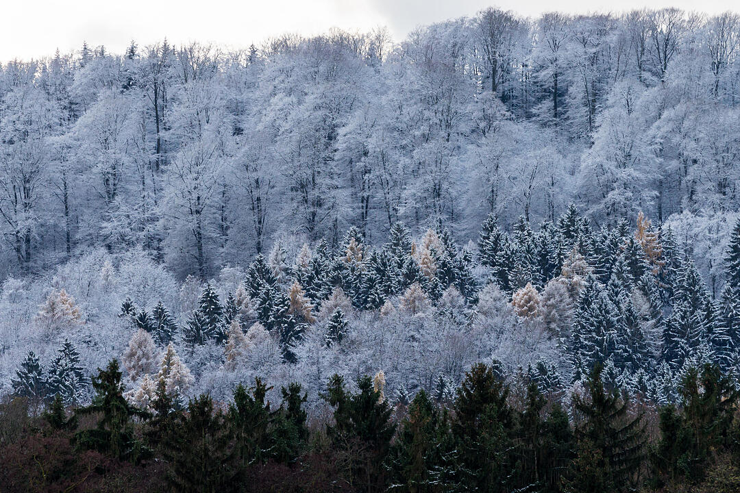 Fotos Konrad Thomann