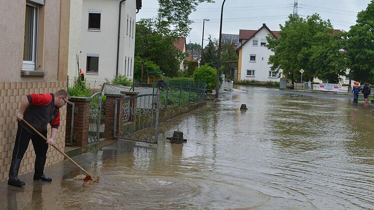 Wiesengiech. Foto: Ronald Rinklef