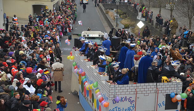 Landkreisfaschingszug 2015