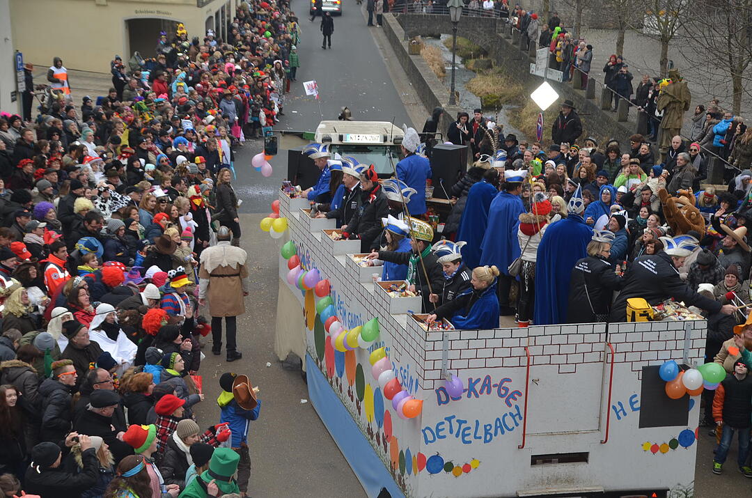 Landkreisfaschingszug 2015