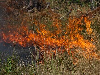Waldbrandgefahr in Franken