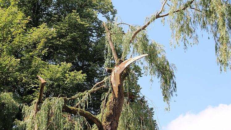 Foto: Simone Bastian