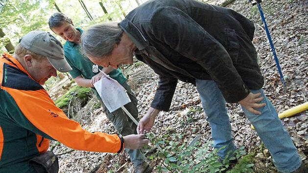 Adolf Herr (rechts) war gerne f&uuml;r den Wald und im Wald im Einsatz, wie hier bei einer Forstinventur im Jahr 2013. Foto: Archiv/Arkadius Guzy