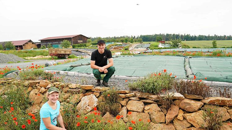 Trockenmauern und Klatschmohn - auf dem Bauernhof der Familie Schütz werden sogar die Silagelager in Szene gesetzt. Foto: Adriane Lochner