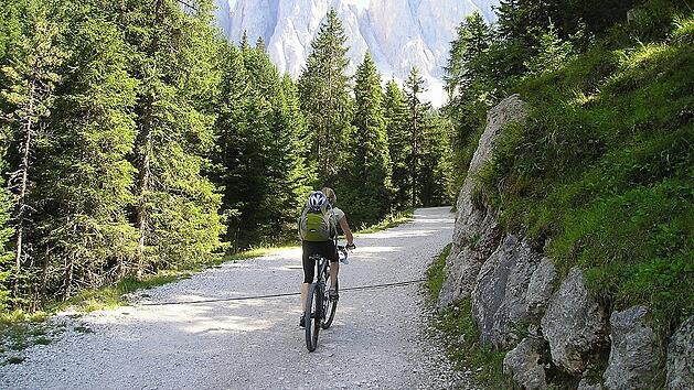 Bei schönem Wetter bieten sich Radtouren ideal an, um die Natur zu erkunden.