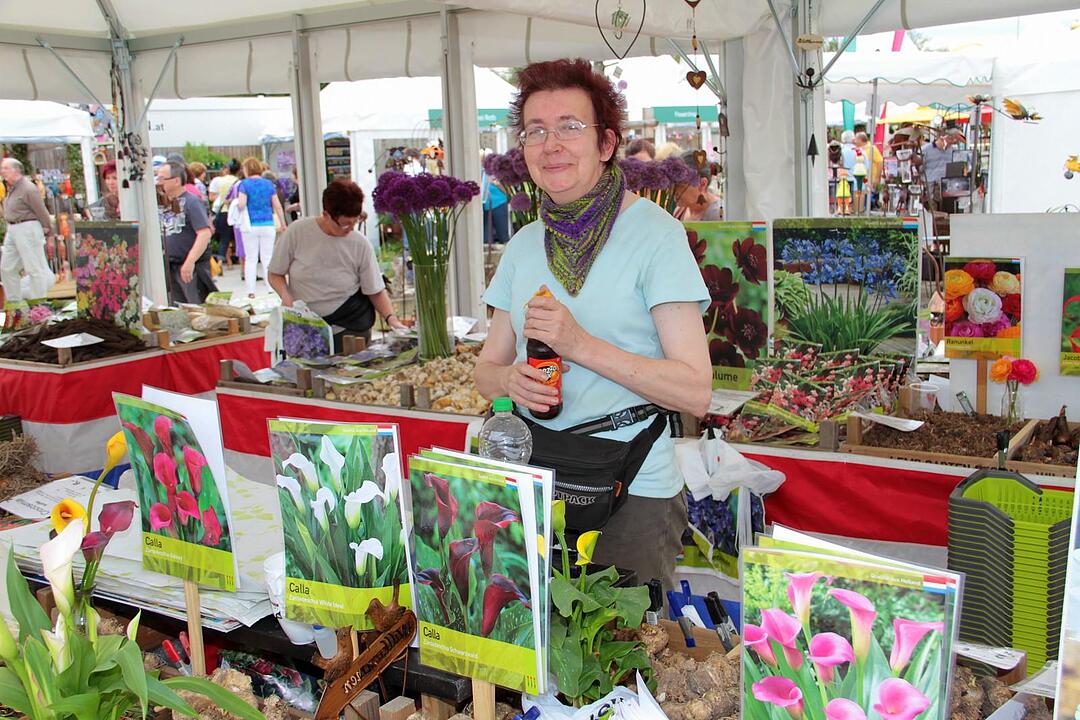 Landesgartenschau Bamberg