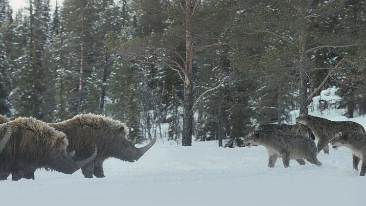 Der Fokus liegt bei "Ein Planet vor unserer Zeit: Eiszeit" nicht nur auf sch&ouml;nen Bildern, sondern auch glaubhaften Szenen, basierend auf neuesten wissenschaftlichen Erkenntnissen.