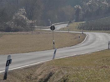 Kurvenreich führt die Staatsstraße 2270 von Sulzfeld nach Segnitz. Nun soll sie begradigt werden. Foto: G. Bauer